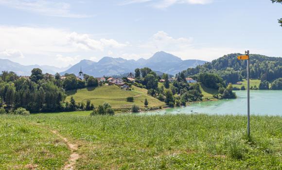 Sentier du Lac de la Gruyère