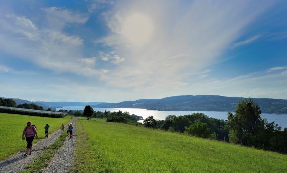 The Thurgauer Fabelweg Trail