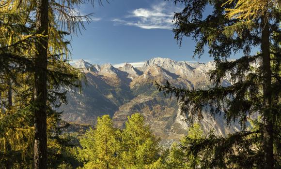 Chemin des Bisses