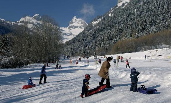 Scenic tobogganing