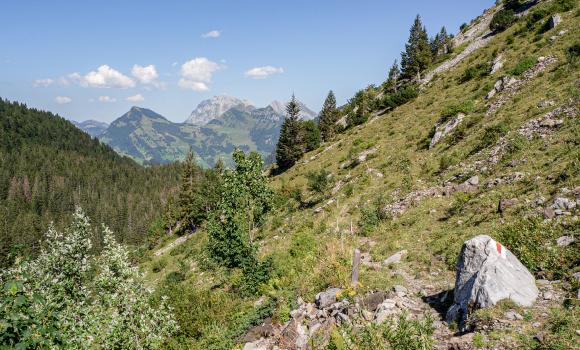 Toggenburger Höhenweg