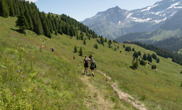 Chemin des pyramides de Gypse