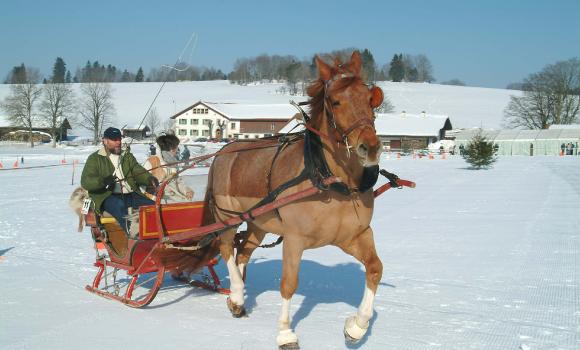 Horsedrawn-sleighs