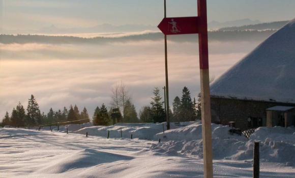 Parcours Le Locle–La Sagne