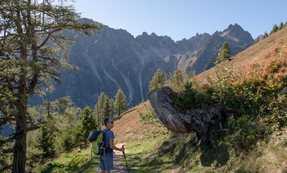 Alpine Passes Trail