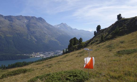 Orienteering on Corviglia