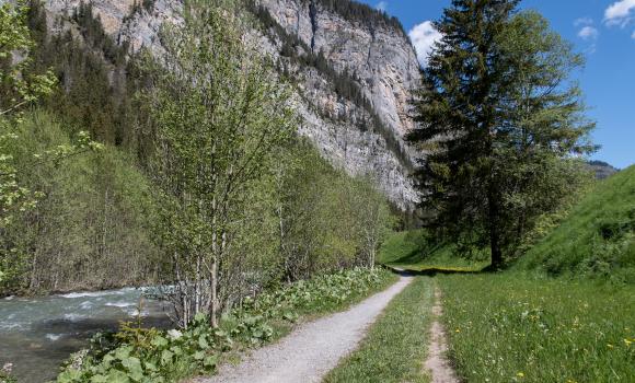 Diemtigtaler Talwanderweg