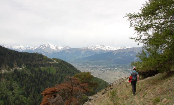 Chemin des Bisses