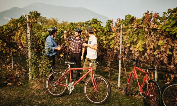 BikeAndWine Mendrisiotto