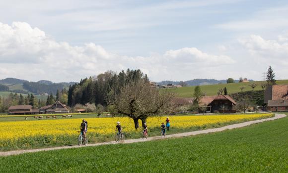 Emmental–Entlebuch, Stage 2/3