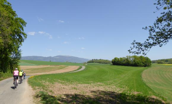 Jurasüdfuss-Route, Stage 4/5