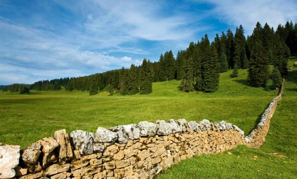 Chasseral–Weissenstein Bike