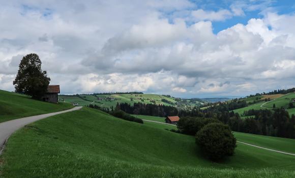 Wiggertal–Glaubenberg, Stage 2/2
