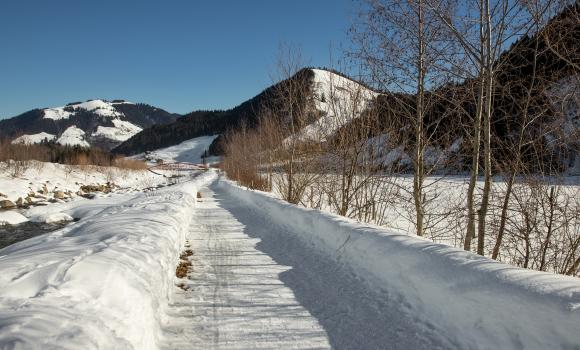 Schützenried-Rundweg