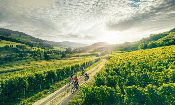 Cycling and wellness around the rivers of Aargau