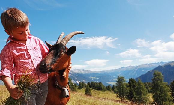 Visiting Goat-Peter and his many goats