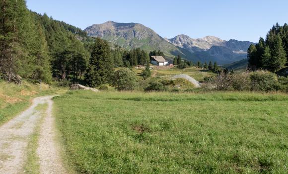 Senda Segantini, Stage 1/4