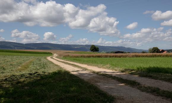 Chemin du Jura