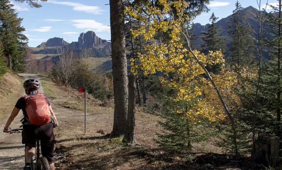 Gantrisch Bike-Panoramaweg