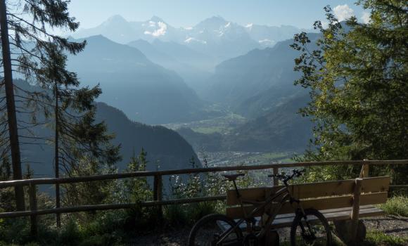 Panorama Bike