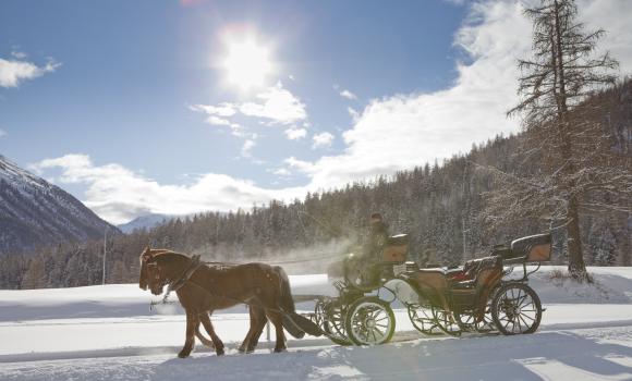 Horse and Carriage Rides in Val Bever