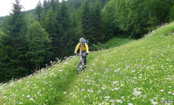 Gottardo Bike