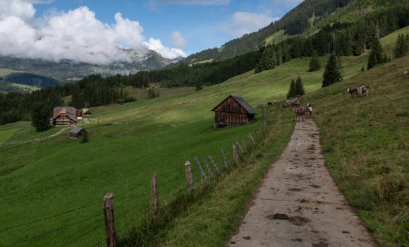 Trans Swiss Trail, Stage 16/32