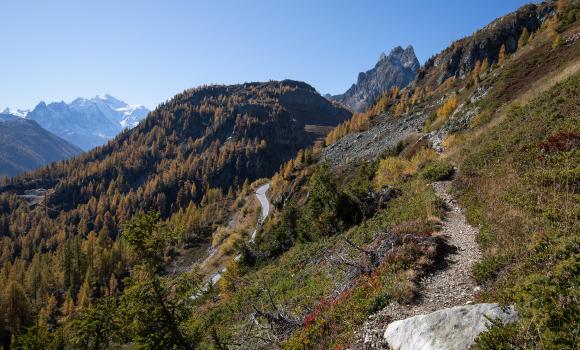 Sentier du Balcon du Mont-Blanc