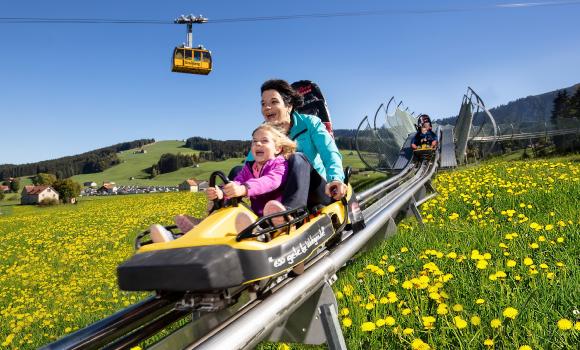 Kronberg bobsleigh run