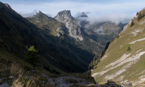 Alpine Passes Trail