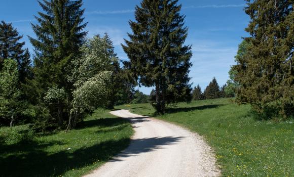 La Chaux-de-Fonds Bike