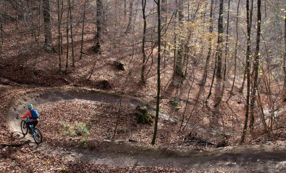 Bike Trail Arlesheim