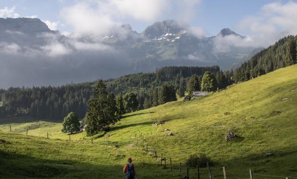 Rheintaler Höhenweg