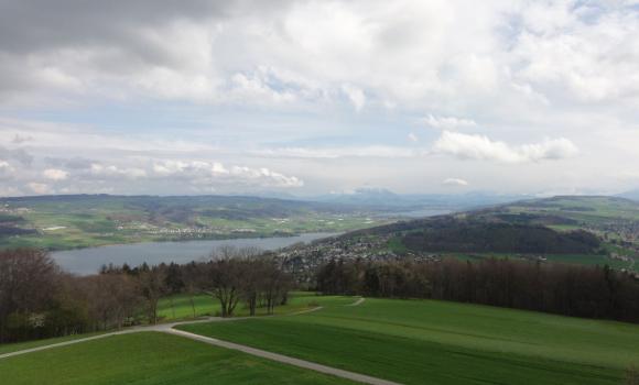 Homberg Observation Tower