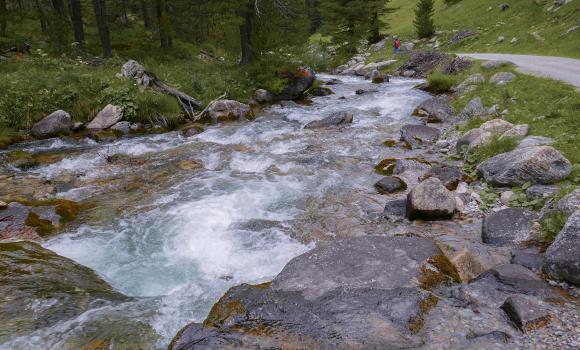 Nationalpark-Panoramaweg