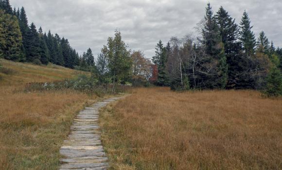 Alpine Panorama Trail