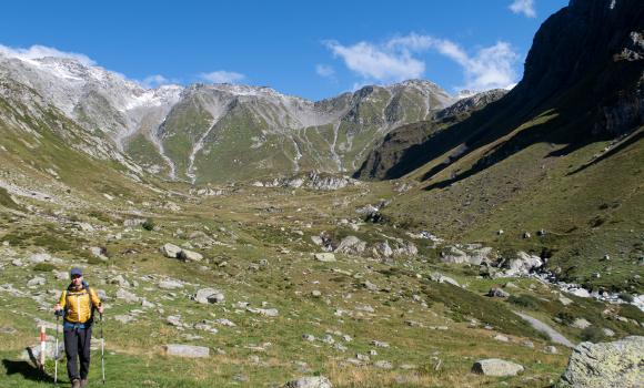 Alpine Passes Trail