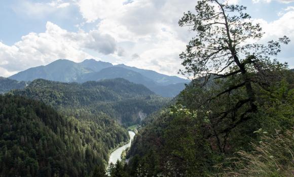 Jakobsweg Graubünden