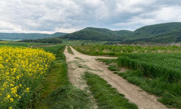 Klettgau-Rhein-Weg