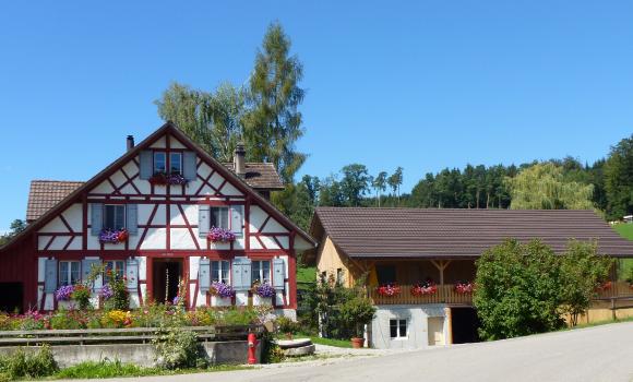 Dinner at Lake Constance