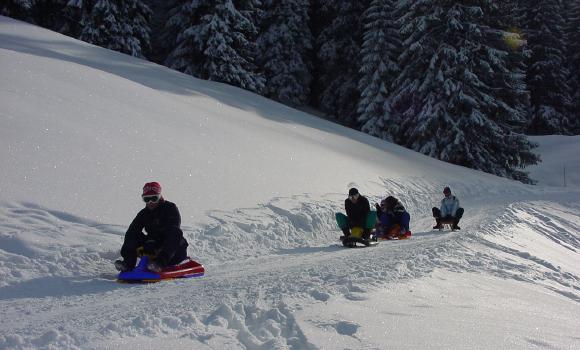 Sledding on Freiburg’s pre-Alps