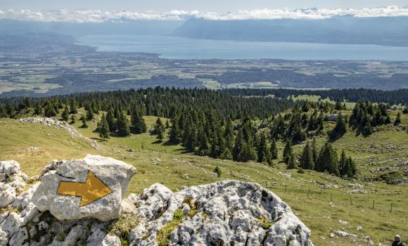 Jura Crest Trail