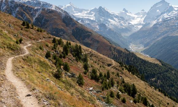 Alpine Passes Trail