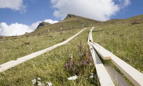 Lauberhorn Race summer trail