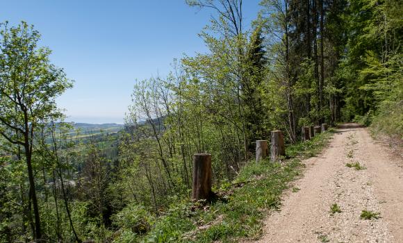 Les Vieux-Prés Bike