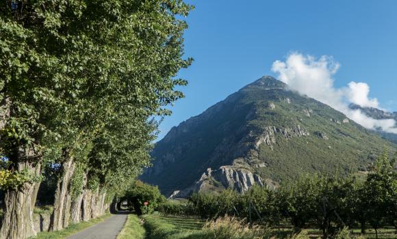 Rhone Route, Stage 5/8