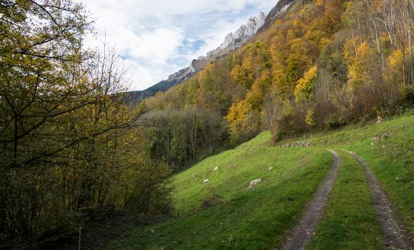 Rheintaler Höhenweg