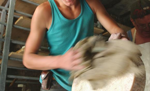 Making cheese in Ticino