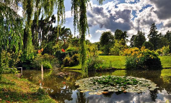 Botanical Garden Geneva