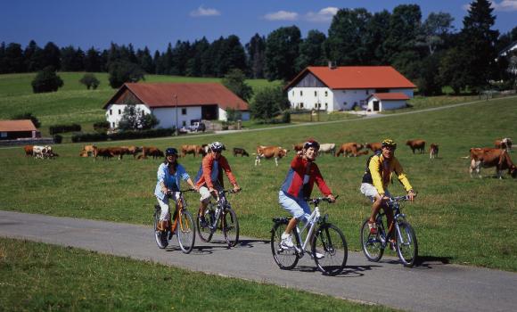 Jura Bike, Stage 4/9